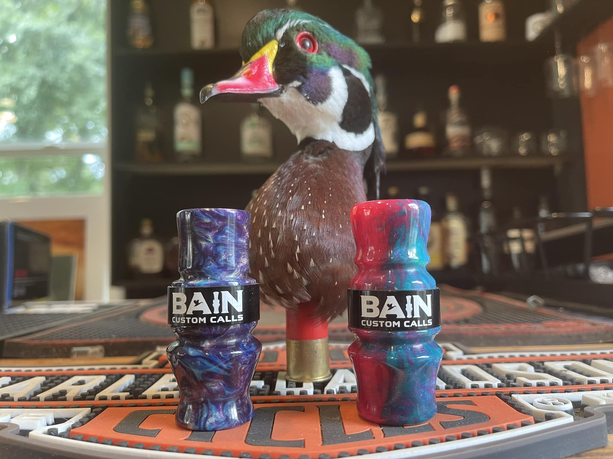 WOOD DUCK